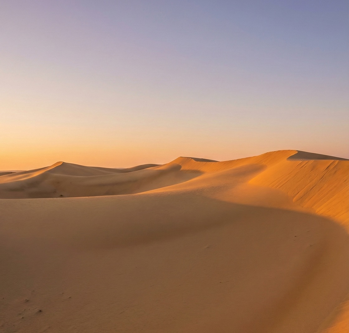 Desert sunset landscape